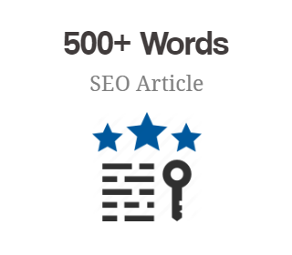 500+ Words SEO Article