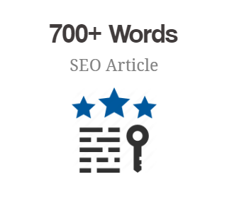 700+ Words SEO Article